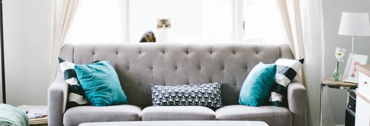 Baobab Furniture Picks
